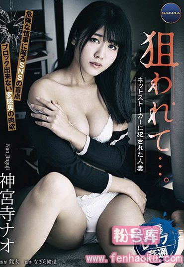 h_1345angr00003