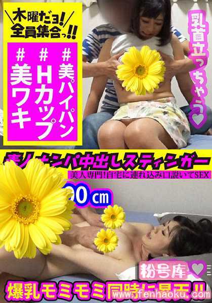 h_1350vov00012