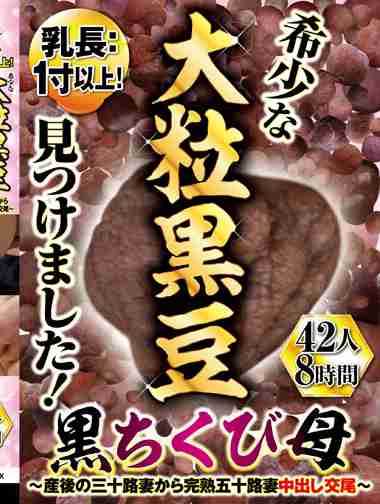 h_1386dinm00731