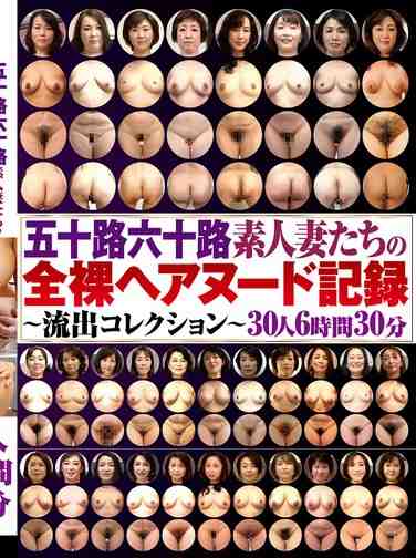 h_1386dinm00838