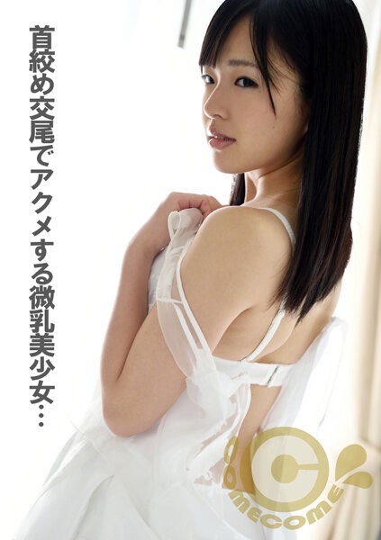 h_1462com00276