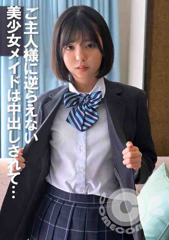 h_1462com00399