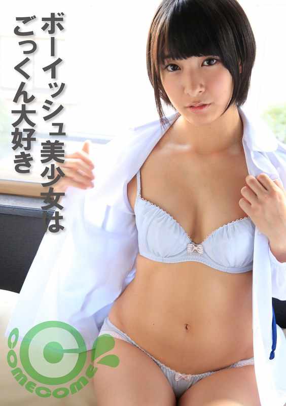 h_1462com00400