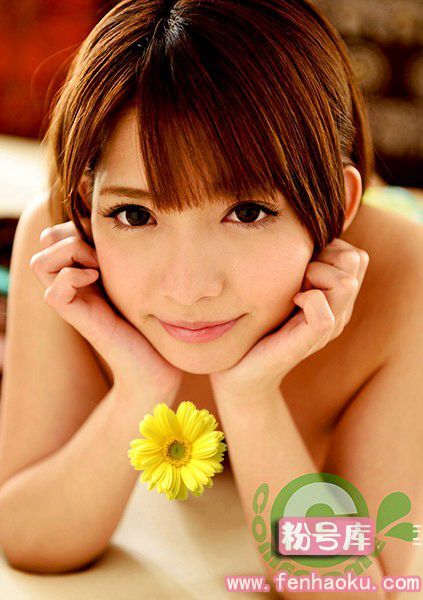 h_1462pyu00001