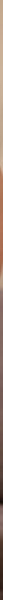 h_1462pyu00242