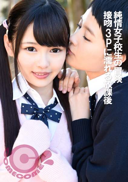 h_1462pyu00301