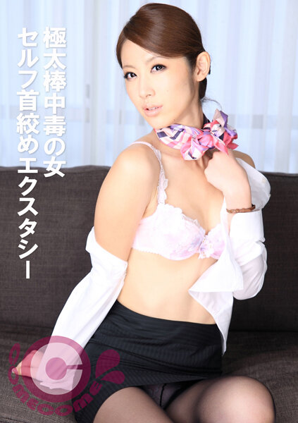 h_1462pyu00308