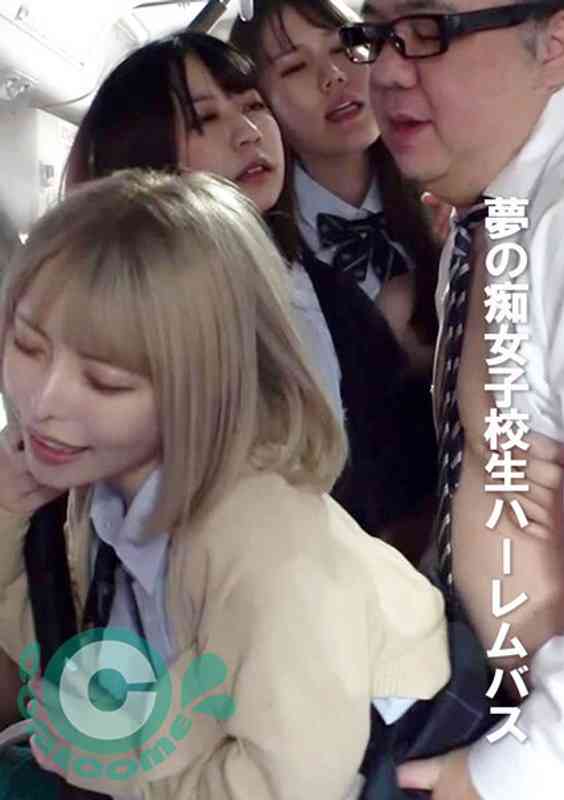 h_1462pyu00376