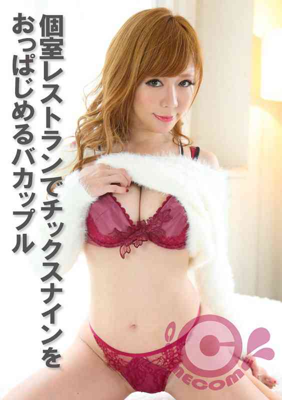 h_1462pyu00399