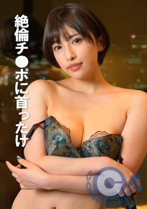h_1462pyu00413
