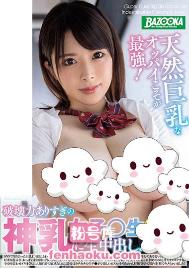 h_1496bazx00255