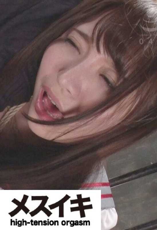 h_1617zzzm00288