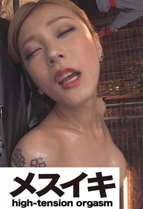 h_1617zzzm01511