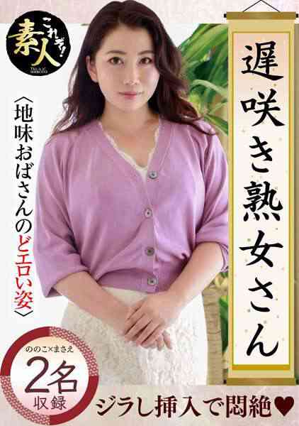 h_1631krs00143