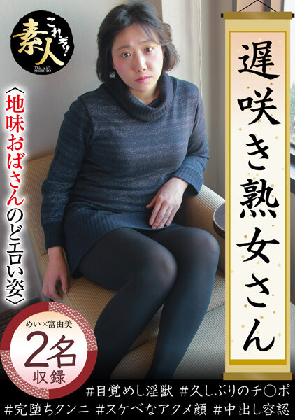 h_1631krs00170