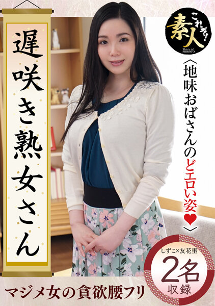 h_1631krs00176