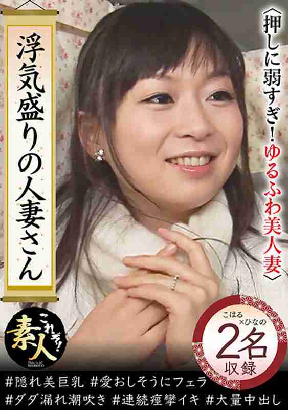 h_1631krs00254
