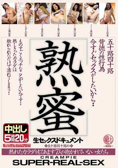 h_1638emth165