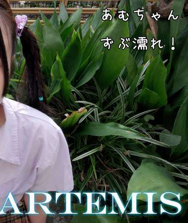 h_1759artmf00026