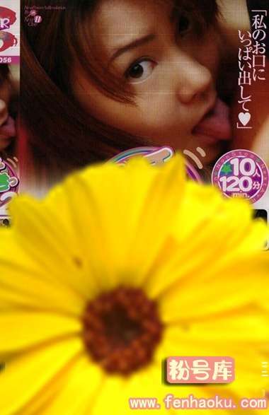 h_259nexts01056