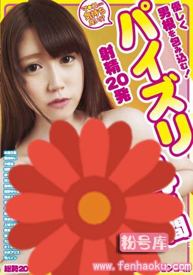 h_315sgms00138
