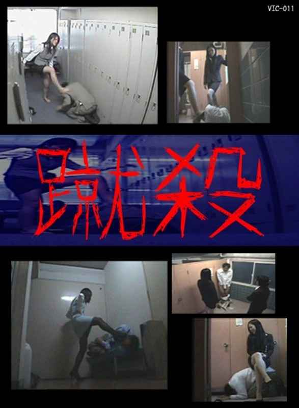 h_423vic00011