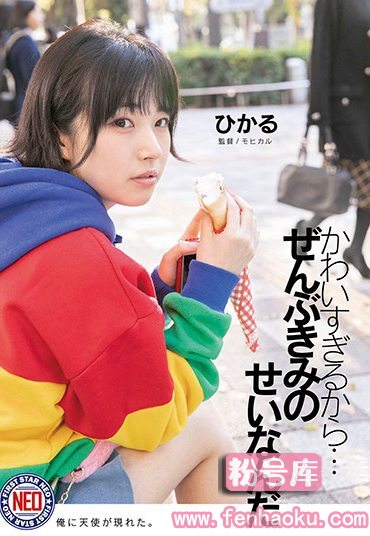h_491fneo00010