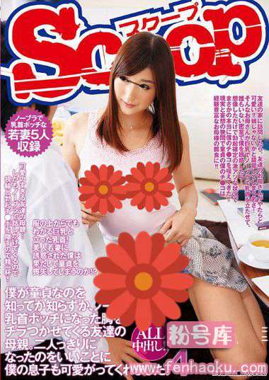 h_565scop00306