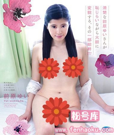 h_706ppmnb00044