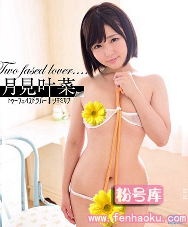 h_706ppmnb00085