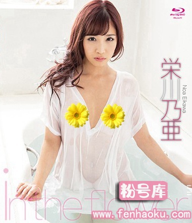 h_706sprbd00003