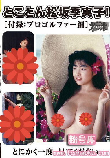 h_740dvi00021