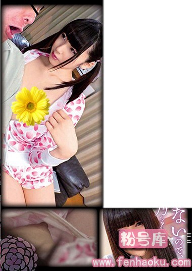 h_839shic00151