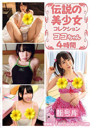 h_839shic00174