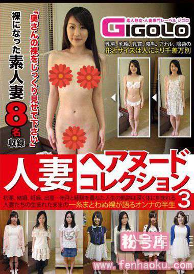 h_860gigl00196