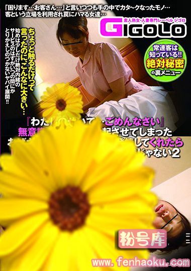 h_860gigl00452