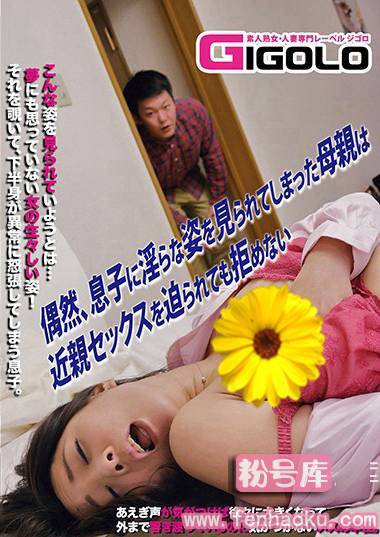 h_860gigl00512
