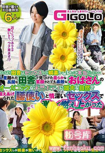 h_860gigl00531