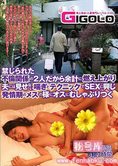 h_860gigl00565