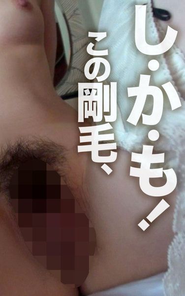 hsg010