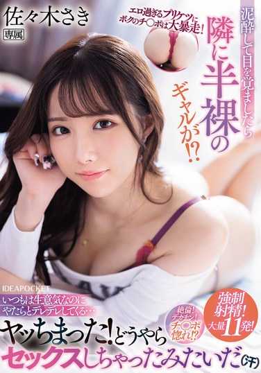 ipzz00541