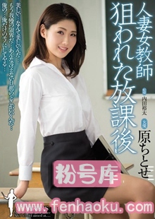 shkd00644
