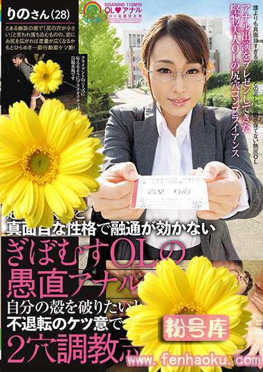 soan00040