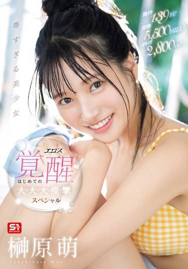 sone00493