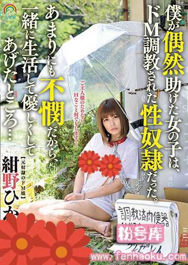 sora00160