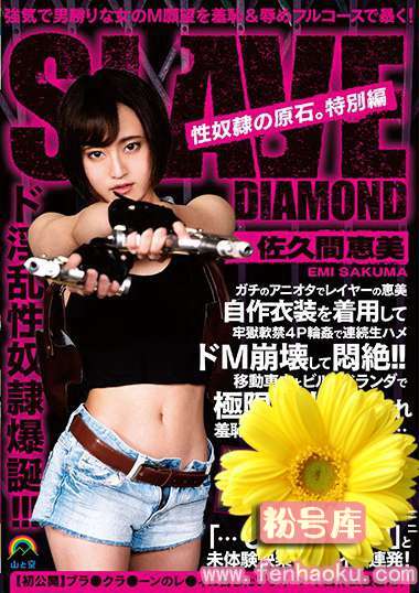 sora00234