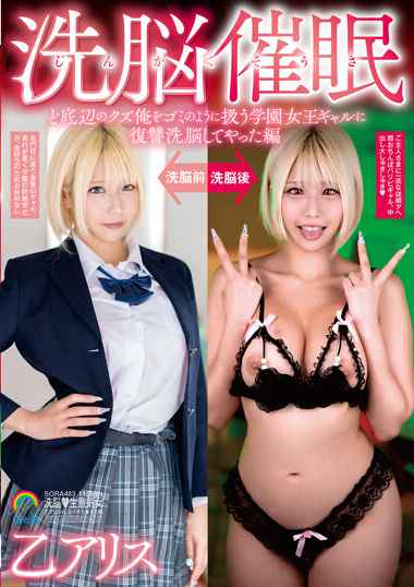 sora00483
