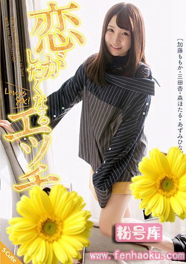 sqte00254