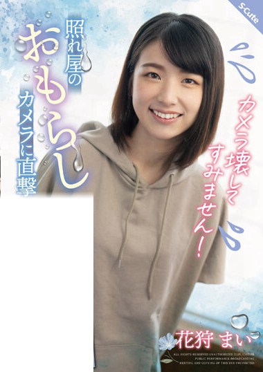sqte00406