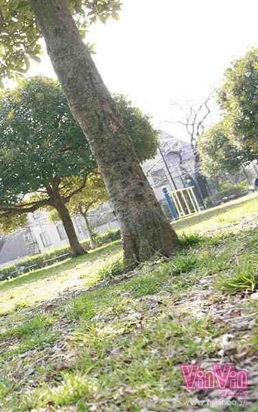 vinvin057